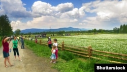 Долина нарцисів – заповідний масив в урочищі Кіреші, за 4 кілометри від міста Хуста Закарпатської області