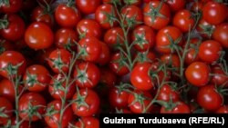 В Енергодарі Запорізької області російські окупаційні сили «націоналізували» господарство з виробництва огірків та томатів
