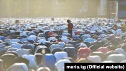 Иллюстрациялык сүрөт. 