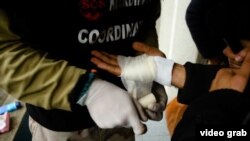 Nevladini aktivisti previjaju rane migrantu koji je zadobio povrede u pokušaju da uđe u Hrvatsku.