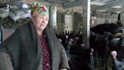 Жаңы жылга күрп даярдаган ишкер аял