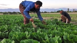 Din cauza secetei, Iranul vrea să cumpere apă de la țările vecine