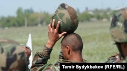 Иллюстрациялык сүрөт. 