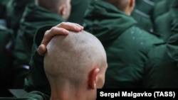 По словам правозащитника, в российских военкоматах Крыма студентов-призывников убеждали сразу подписывать контракт