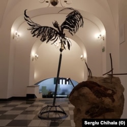 Acvila, vedere de ansamblu