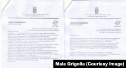 მაია გრიგოლიას წერილები