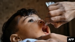 په کراچۍ کې یوه روغتیايي کارکوونکې یو ماشوم ته د ګوزڼ واکسیني څاڅکي ورکوي - پخوانی انځور.