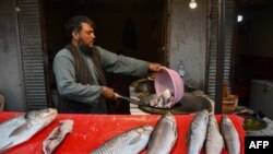 ماهی فروش درحال پختن ماهی