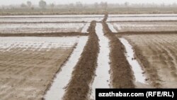 Illýustrasiýa suraty. Serhetabatda suw tutulýan ýerler. 