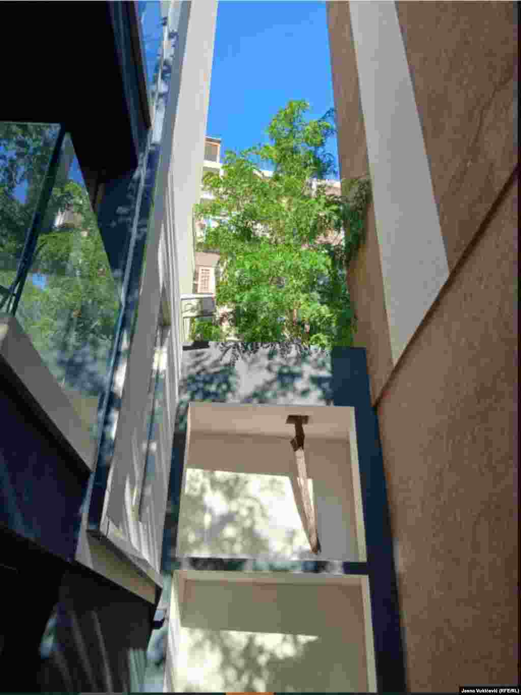 Drvo zazidano u višespratnici, čije je stablo jednim dijelom ispred, a drugom iza zida. Dok fotografišemo, mještanin Marko komentariše: "E, taman takav je i naš život - zazidan u "metropoli" turizma".