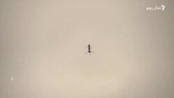 ډرونونه څنګه د ځنګلونو په اوروژنه کې مرسته کولای شي؟