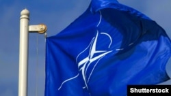 د ناټو بيرغ