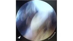 Задержание Аруны Арны.mp4