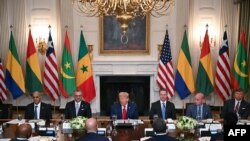 Președintele Trump a primit miercuri la Casa Albă liderii unor țări africane care au acceptat să-și coboare tarifele pe importuri din SUA.