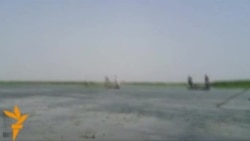 Iraq's Marshlands Bloom Again
