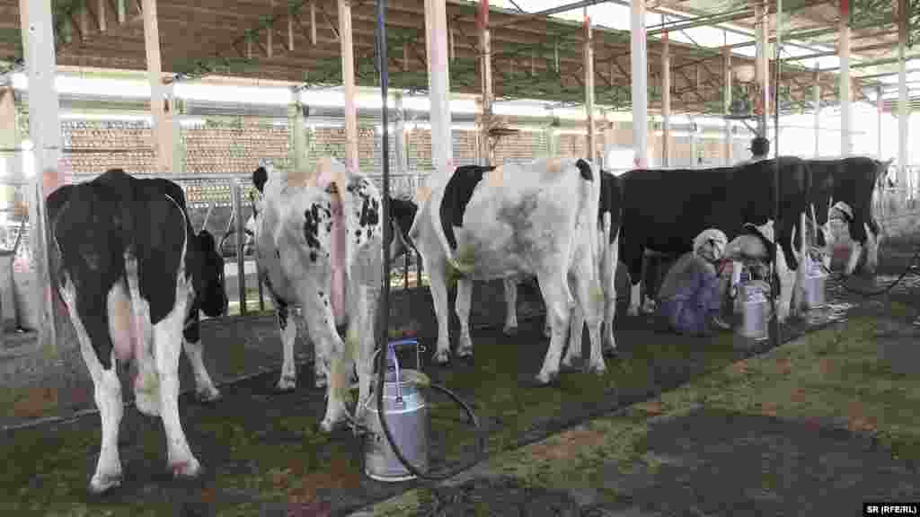 د طالبانو حکومت د پوډري شیدو پر وارداتو تعرفه لوړه کړې د طالبانو حکومت د کرنې او مالدارۍ وزارت چارواکي وايي، چې د مالدارۍ د ودې لپاره یې پر پوډري شیدو تعرفه لوړه کړې. د یاد وزارت تخنیکي معین مولوي صدراعظم عثماني وايي، چې مخکې پر پوډري شیدو اته سلنه مالیه اخیستل کېده، خو اوس دا کچه ۳۰ سلنې ته لوړه شوې. هغه زیاتوي: "موږ د مالدارۍ د ودې لپاره هڅه کوو چې پر وارداتو نور محدودیتونه ولګوو. زموږ هدف دا دی چې مالداران پیاوړي شي او داخلي تولیدات زیات شي."