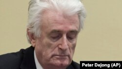 ХОЛАНДИЈА -- Поранешниот лидер на босанските Срби, Радован Караџиќ, влегува во судницата на Меѓународниот резидуален механизам за кривични трибунали во Хаг, 20 март 2019 година.