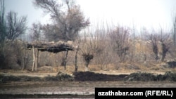 Illýustrasiýa suraty. 