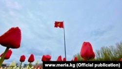 Бишкек шаары. 2020-жыл, май. Иллюстрациялык сүрөт.