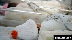 Иллюстрациялык сүрөт.