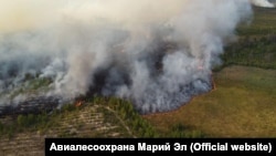 Дирекція Міністерства надзвичайних ситуацій Марій Ел заявила, що, за попередніми оцінками, територія, уражена лісовими пожежами, становить близько 120 гектарів, вогонь наблизився до кількох сіл і курортних місць біля озера Шап