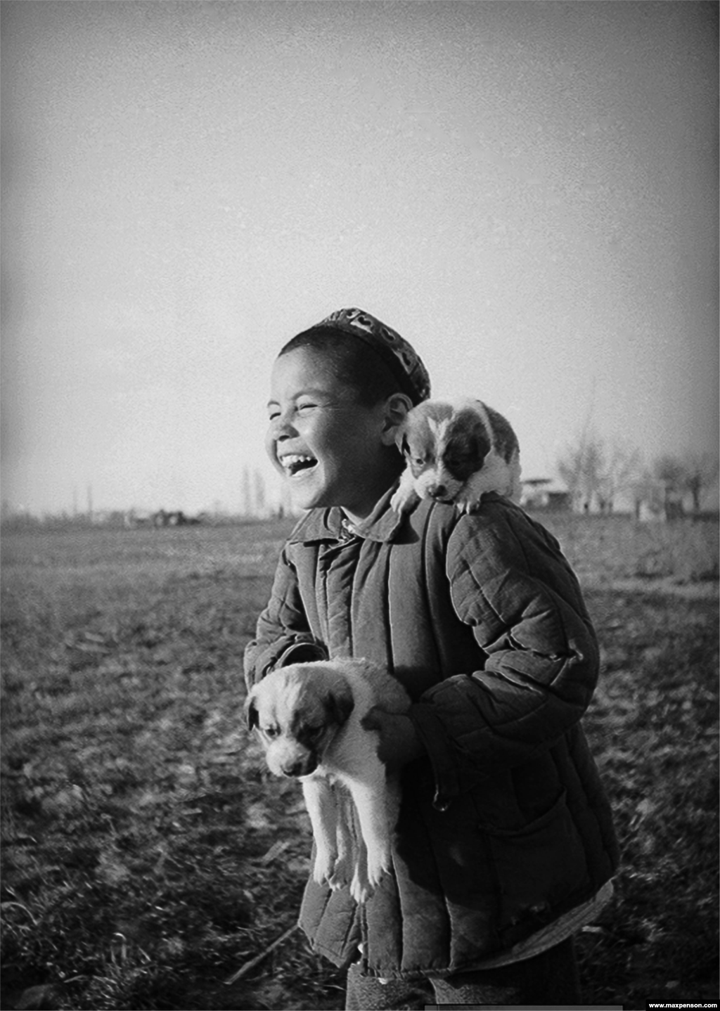 Хлопчик зі щенятами в колгоспі