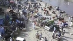 په کونړ کې د اختر په را رسېدو سره د څارویو بازار ګرم شوی