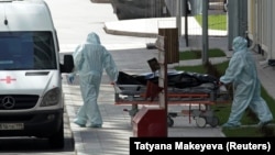 Архив фотосы