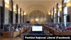 Consilierii PNL și PSD au votat proiectul propus de Clotilde Armand, dar cu amendamente.