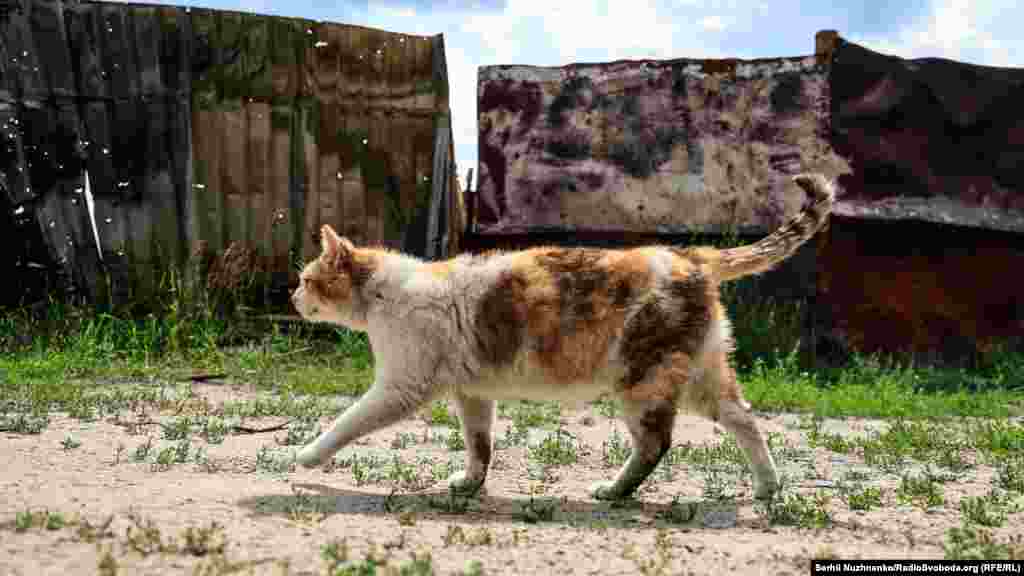 Перші згадки про Мощун датовані сімнадцятим століттям