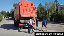 Отлов животных в Туркменабаде. Июль, 2022. 