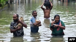 Жители Коломбо, полузатопленной столицы Шри-Ланки, спасают домашних животных и остатки имущества. 29 ноября 2025 года