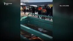 Punëtorët kinezë në Serbi, në kushte çnjerëzore