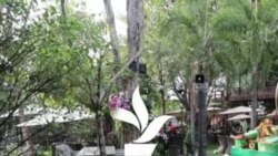 Ем на кафе, ем на крипто-берза