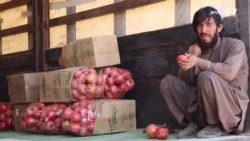 افغانستان له هند سره د هوا له لارې تجارت پیلوي 