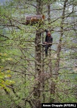 ხეზე ამძვრალი კაცი, ზემოთ სკა