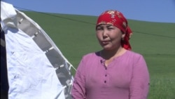 Нияра Халбаева