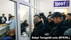 Очередь за водительскими удостоверениями, 24 декабря 2019 г.