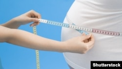 Иллюстрация. 