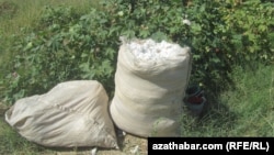 Собранный хлопок, Туркменистан  