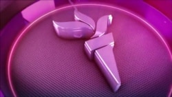 Борбор Азия "Талибан" менен тил табыштыбы? 