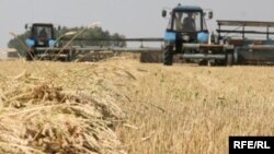 Уборка зерновых. Иллюстративное фото.  