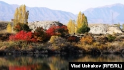 Иллюстрациялык сүрөт