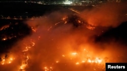 Андонг шаарындагы токой өртү. Түштүк Корея, 25-март, 2025-жыл