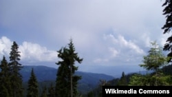 ბორჯომი-ხარაგაულის ტყეპარკი