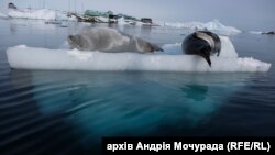 Антарктида