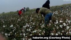Illýustrasiýa suraty. Türkmenistan.