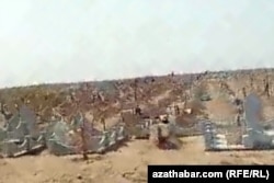 Новых захоронений гораздо больше старых могил, Кладбище в северной части на окраине Ашхабада, Июль, 2020
