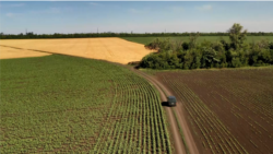 Дорога, якою просувалася колона бойовиків