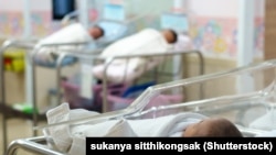 Иллюстрациялык сүрөт.